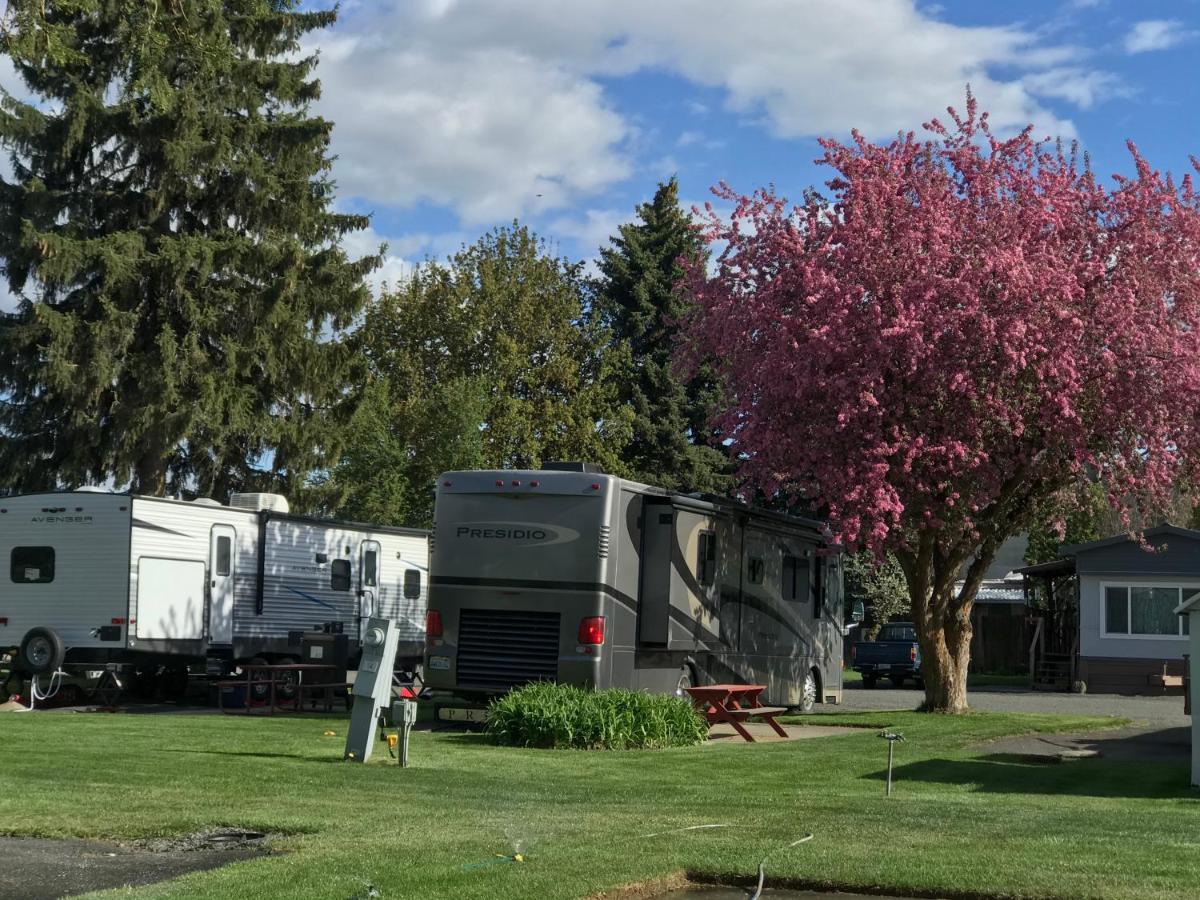 Goose Creek Rv Park & Campground Wilbur Екстер'єр фото